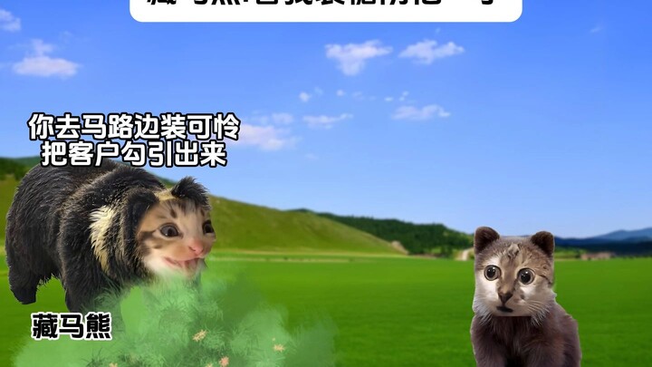 Gấu tạng mã nhìn tôi giả vờ cho kẹo rồi chơi khăm anh ta một cú