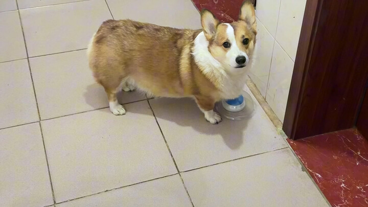 เพิ่มความท้าทายให้ชาวอังกฤษแล้ว!