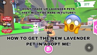 HOW TO GET THE *NEW* LAVENDER PET IN ADOPT ME!?