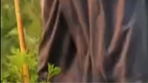 เต็มเรื่อง อย่าแต่