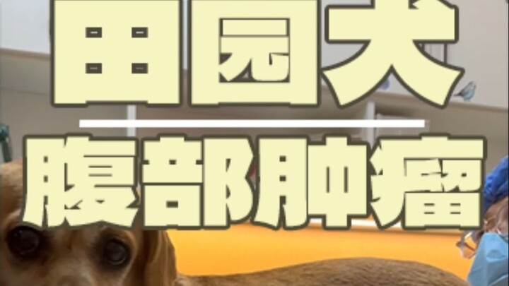 Tumors are just secondary—what’s truly deadly lies in what you can’t see!