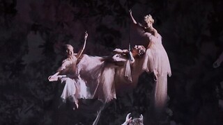 「芭蕾舞剧」原来真的有仙女