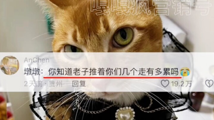 Sobat, jam segini malam-malam mau bikin aku nangis sampai pingsan ya?