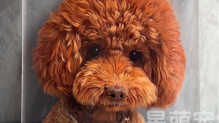 Does your dog have such a cute portrait? #Teddy #ExtremelyExpensive #NewYearWoofWoofWoof #DogsAreThe