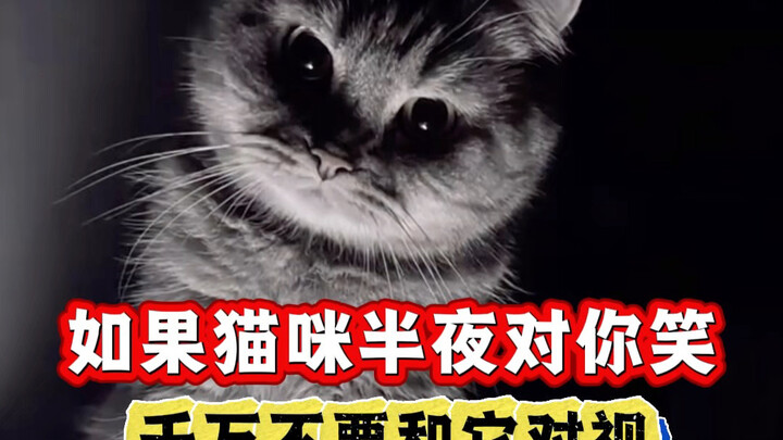If your cat stares at you in the middle of the night, never make eye contact with it.