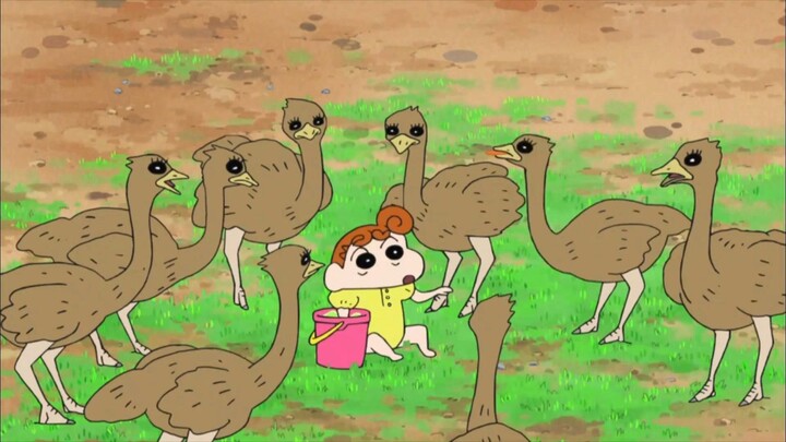 Menurutku burung unta ini juga berwajah tampan dan cantik