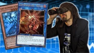 NATURIA, HERO, SPLIGHT AND MORE BUYOUTS!!! Yu-Gi-Oh! Market Watch!