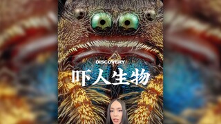 放大的虫子脸是最吓人的‼️