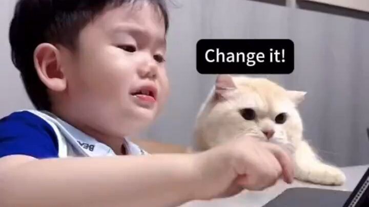 Naughty cat