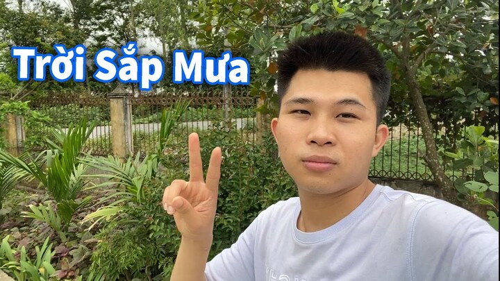 Quảng Cảnh Ở Sân Vườn Nhà Mình Khi Trời Sắp Mưa