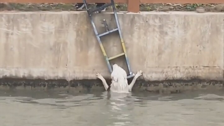 Thanks to this young man for rescuing the dog from the water!
