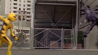 Siêu Nhân Rừng Xanh( BẢN MỸ) Tập 10 – Power Rangers Jungle Fury