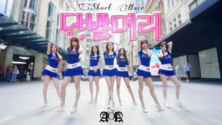 【AOA】เต้นเพลง AOA "ผมสั้น" ใจกลางเมืองซิดนีย์ สีหน้าของคนเดินถนนค่อยๆ เสียการควบคุม...