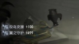 没人知道这只鸟是怎么给上的，包括先知本人