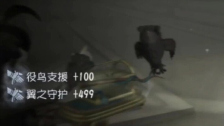 没人知道这只鸟是怎么给上的，包括先知本人
