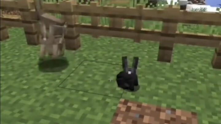 มิเนอร์คราฟต์ มีม