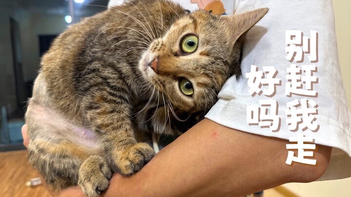 She buried her head in my armpit, who would have the heart to let her wander