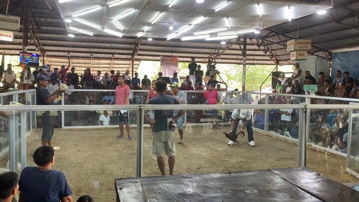 2hits champion,first fight.