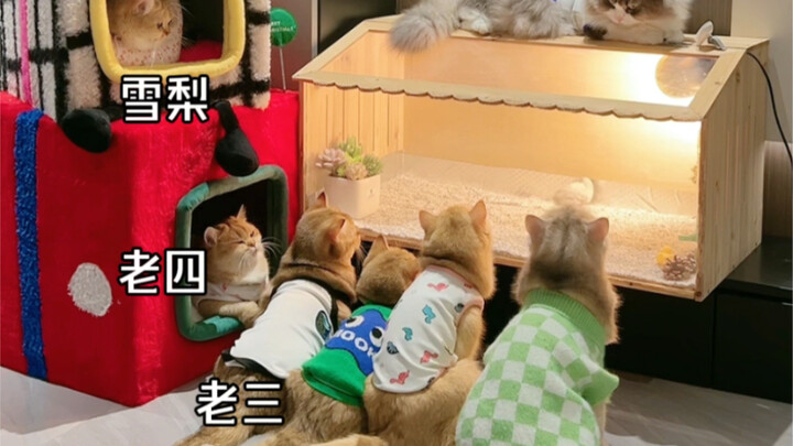 นี่มันเหมือนตอนคุณดูทีวีตอนเด็กๆ ใช่ไหม?