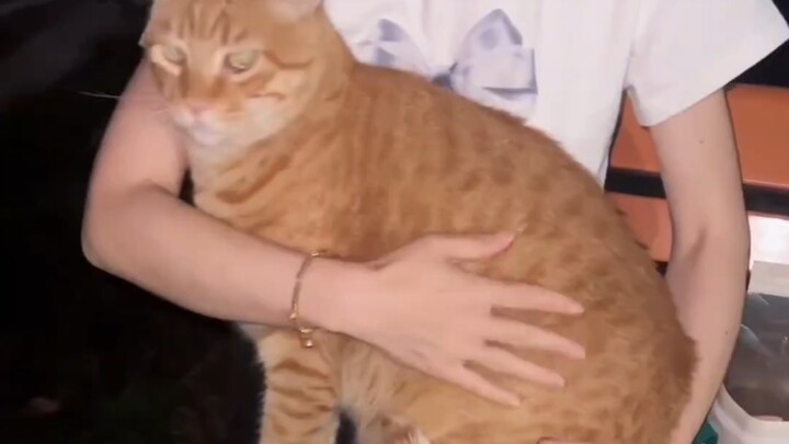 I met a jazz-loving cat!