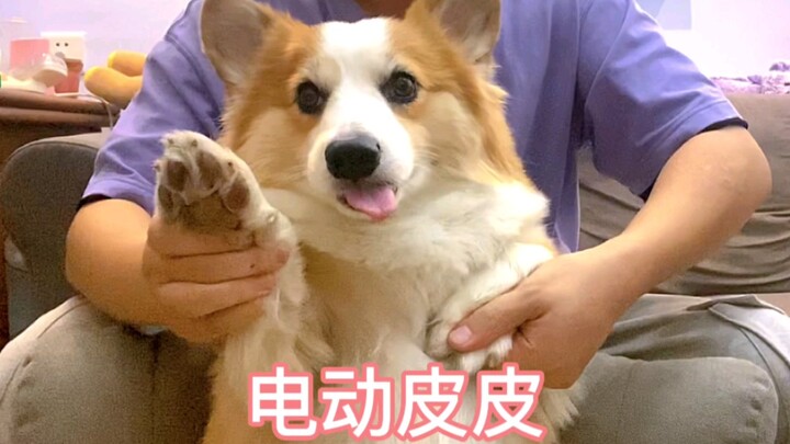 Boss Pi's Hot Dance | Electric Pipi