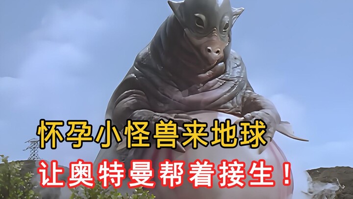 怪兽怀孕跑到地球，让奥特曼帮忙接生！