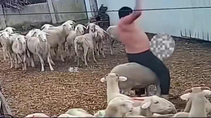 Không thấy được núi Thái Sơn