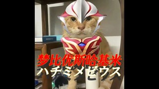 梦比优斯哈基米