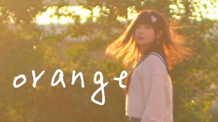 【toba】Orange / orange