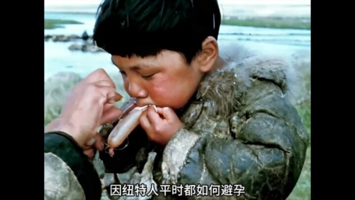 Why didn’t you say we were swapping genes earlier?! Someone, bring my whale fish eyeball up here!