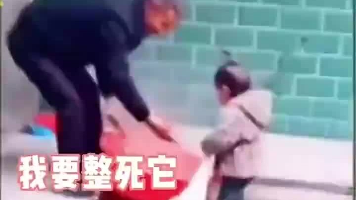 Grandpa, hurry up and boil some water so I can have roast goose! This cute kid is just too adorable!