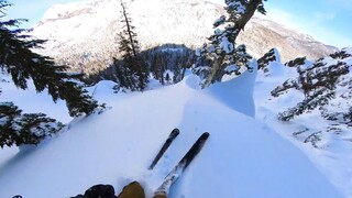 عشرة آلاف سبب لحب الحياة!