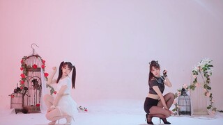 【Ghostly Disco】⚡ทนไม่ไหวแล้ว ยอมแพ้ซะ! ⚡ Xisi Bomb x HBK08 x Dumb