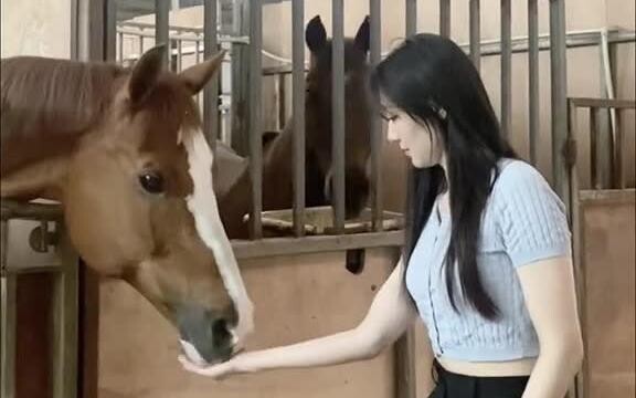 عندما تناول الحصان حلوى القفز لأول مرة