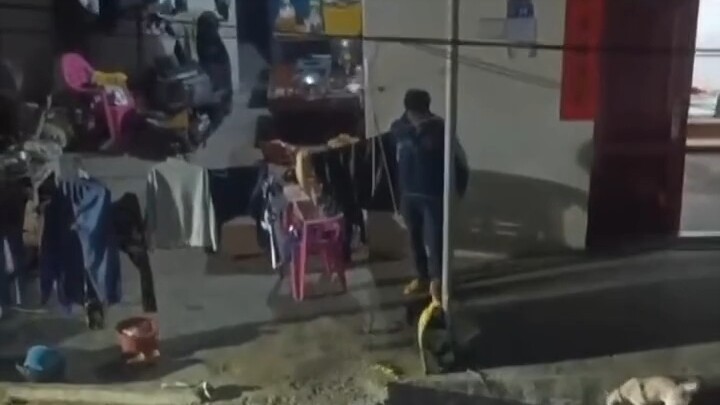 Cậu bé ở Tam Á lại bị bắt về rồi!