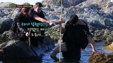 Law of the Jungle in New Zealand Chatham Islands [3] ENG SUB