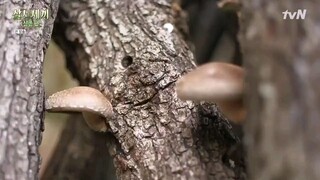 Three Meals A Day: Mountain Village Ep. 01 (English Sub)