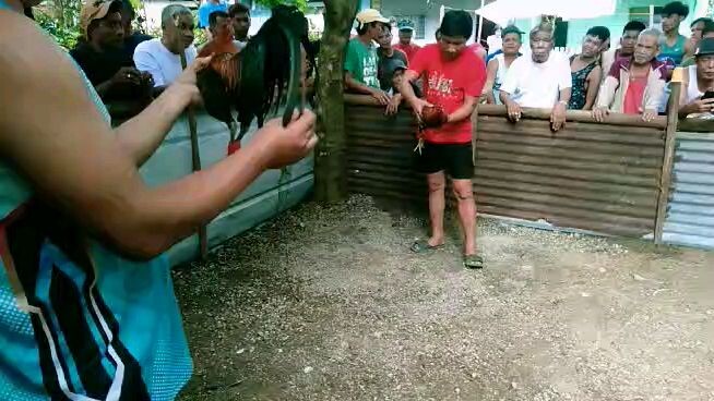 napilayan na.nanalo pa