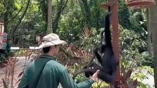 Help! No one said the Chimelong animals were this interesting after work #Chimelong Safari Park