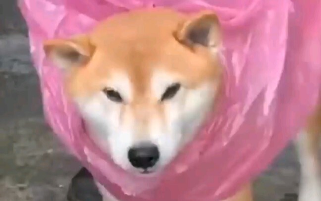 Dad must have his reasons for doing this.