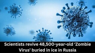 Zombie virus 2023 update 😱