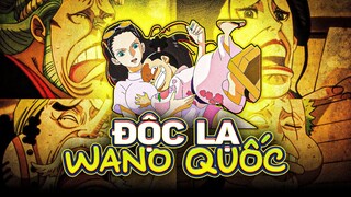 ONE PIECE | ĐỈNH CAO VĂN HÓA NHẬT BẢN TẠI WANO QUỐC