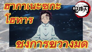 ฮากาเนะซุกะ โฮทารุ ชังการขว้างมีด