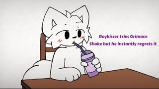 Kucing kecil yang konyol mencoba meminum milkshake Big Brother