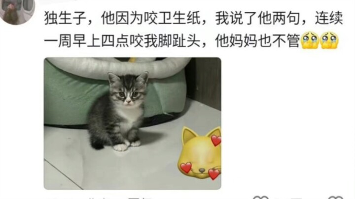 ความสุขของลูกคนเดียวก็คือ…