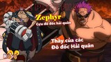Tóm tắt One Piece Film Z: Zephyr - Cựu đô đốc của hải quân