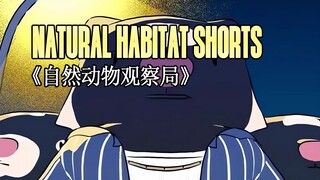 230127《自然动物观察局》- Natural Habitat Shorts