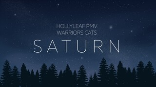 [WARRIORS] Hollyleaf PMV|Saturn