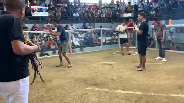 mexican dome in action
