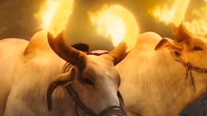 peria bodoh seorang bangsawan